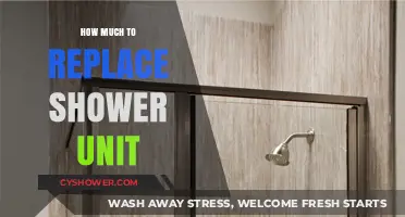 Revamping Your Bathroom: The Cost of Replacing a Shower Unit