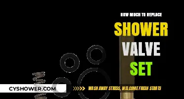 Revamping Your Shower: The Cost of Replacing a Valve Set