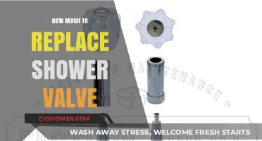 Cost to Replace Shower Valve: A Comprehensive Guide for Homeowners