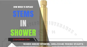 Shower Stem Replacement Cost Guide: What to Expect and Budget