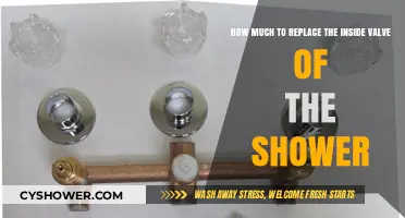 Revamping Your Shower: The Cost of Replacing an Inner Valve