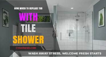 Tub to Tile Shower Conversion: Cost Breakdown and Budget Tips