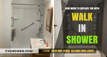 Tub to Walk-In Shower Conversion: Cost Breakdown and Tips