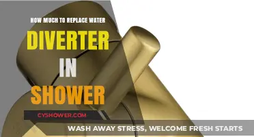 Cost to Replace Shower Water Diverter: What to Expect