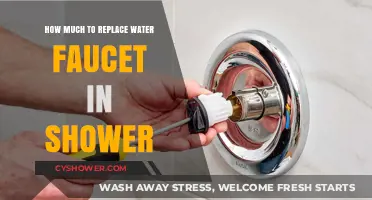 Cost Guide: Replacing Your Shower Water Faucet – What to Expect