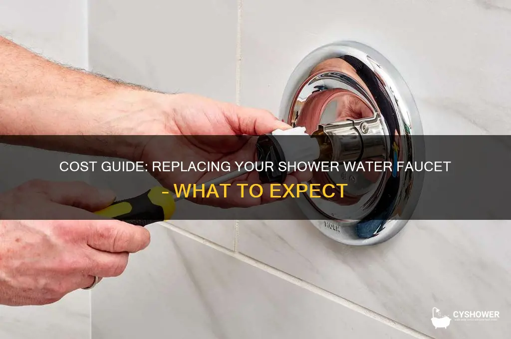 how much to replace water faucet in shower