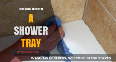 Revamping Your Shower: A Guide to Resealing Costs
