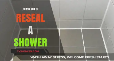 Revamping Your Shower: A Guide to Resealing Costs and Considerations