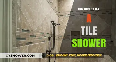 Cost Guide: Sealing a Tile Shower – What to Expect