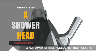 Shipping a Shower Head: Cost Breakdown and Tips for Savings