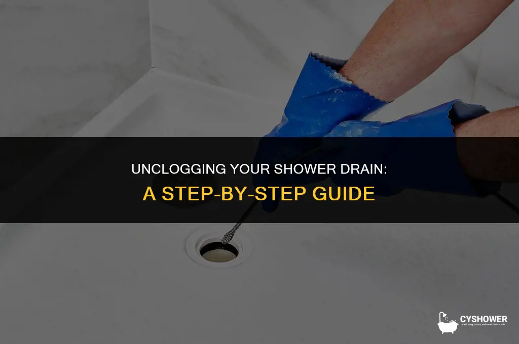 how much to snake a shower drain