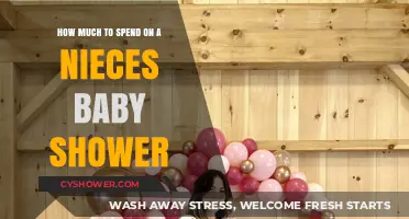 Budgeting for Joy: A Guide to Niece's Baby Shower Expenses