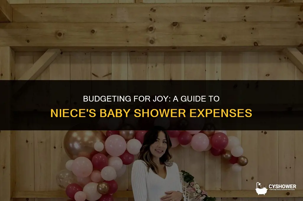 how much to spend on a nieces baby shower