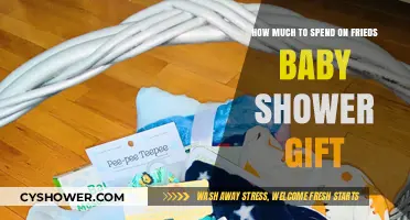Choosing the Perfect Baby Shower Gift for Your Friend: A Budget Guide