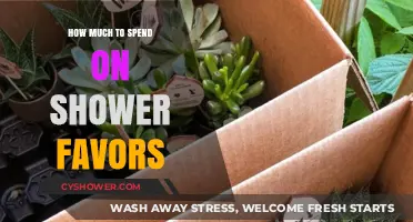 Budgeting Bliss: A Guide to Thoughtful Shower Favors Spending