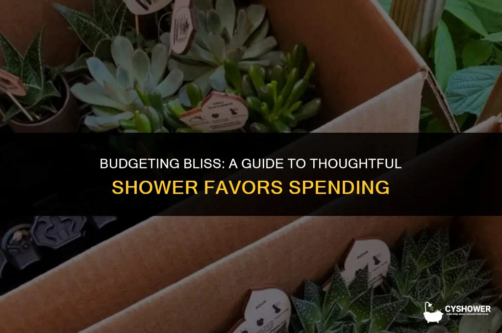 how much to spend on shower favors