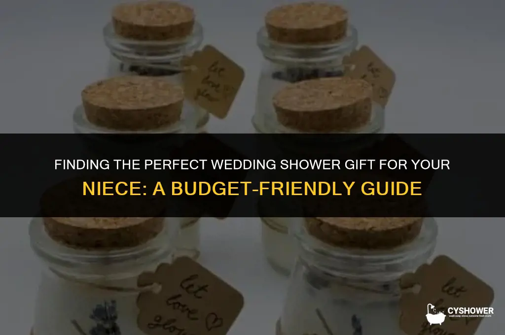 how much to spend on wedding shower gift for niece