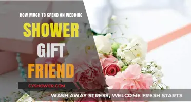 Finding the Perfect Wedding Shower Gift for Your Friend: A Budget Guide