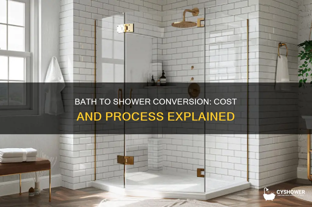 how much to take bath out and put shower in