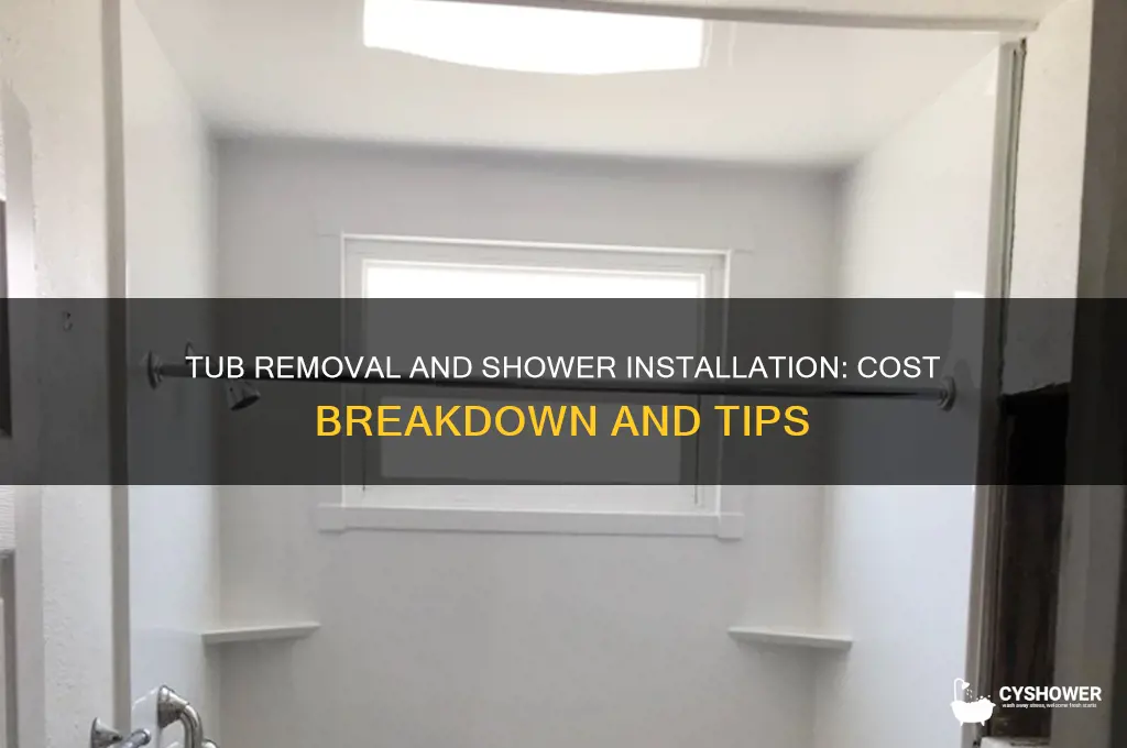 how much to take out tub and install shower