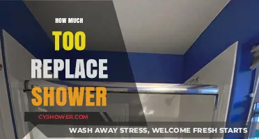 Cost to Replace Your Shower: Budgeting Tips and Expense Breakdown
