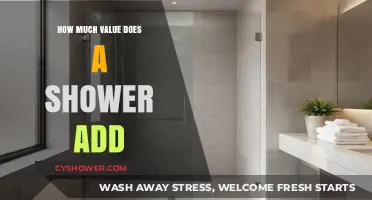Enhancing Your Home's Worth: The Value of a Shower Upgrade