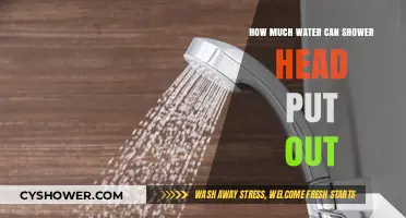 Shower Head Water Output: Measuring Flow Rate and Efficiency