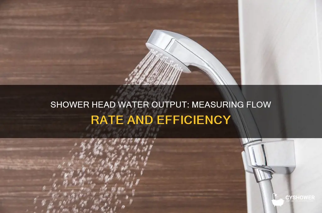 how much water can shower head put out