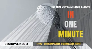Measuring Shower Water Usage: How Much Flows in One Minute?