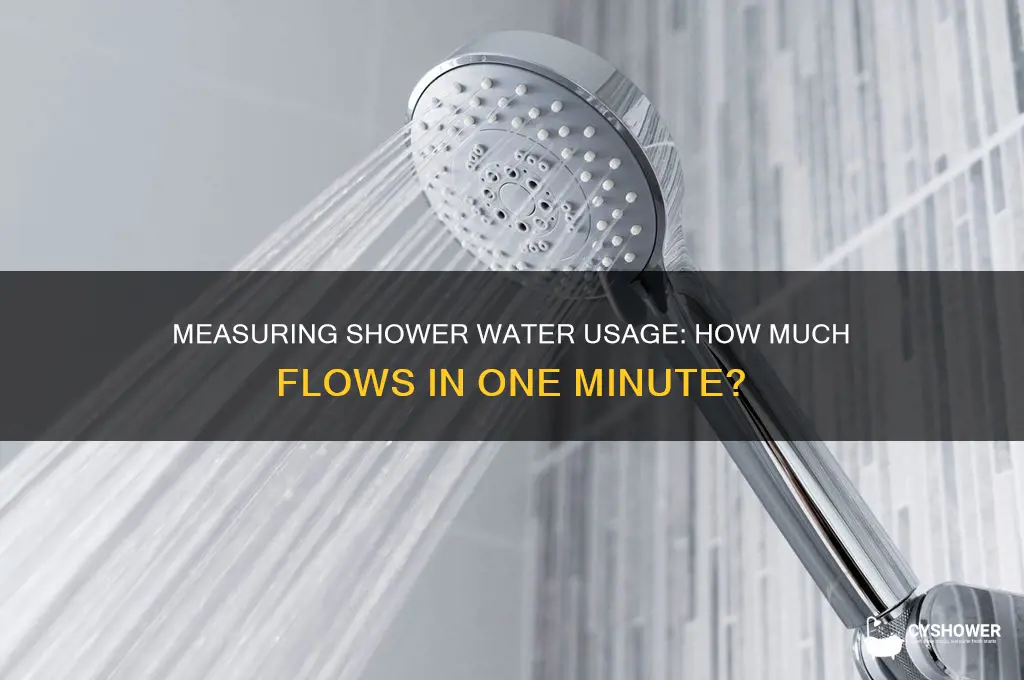 how much water comes from a shower in one minute