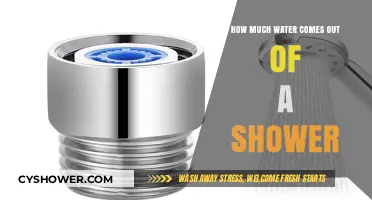 Measuring Shower Water Usage: How Much Flows Out Daily?