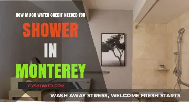 Monterey Shower Water Credit: Understanding Your Usage and Needs