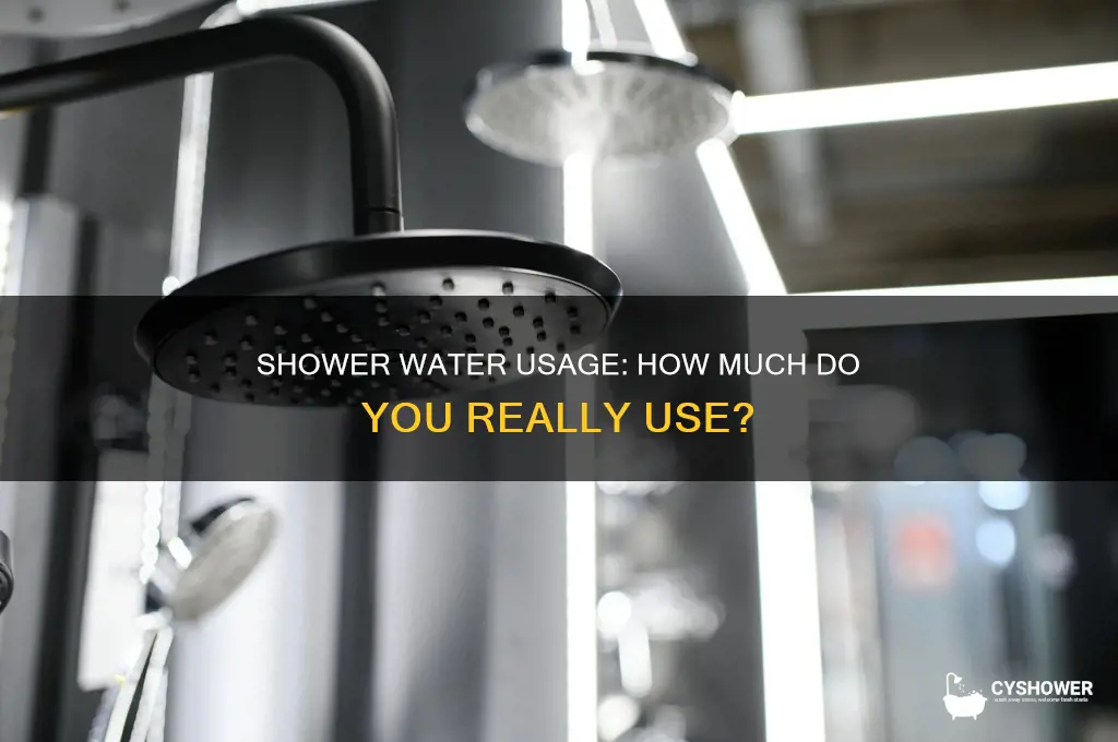 how much water do you usw in a shower