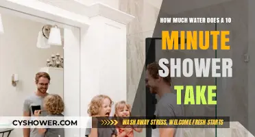 Shower Water Usage: How Much Does a 10-Minute Shower Consume?
