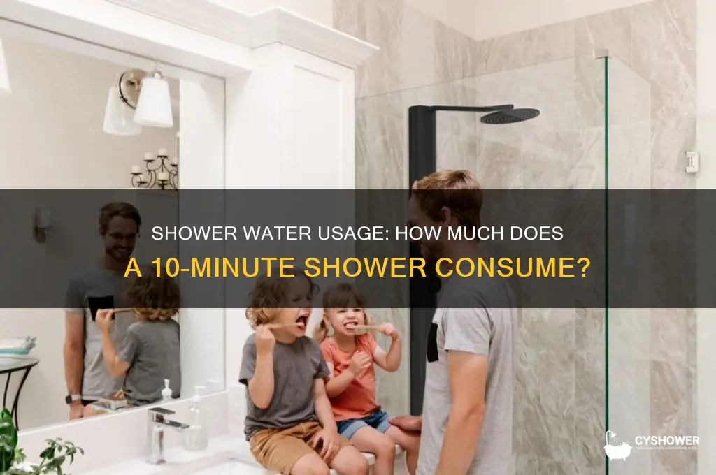 how much water does a 10 minute shower take