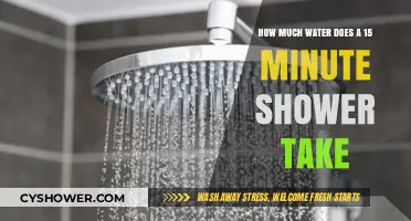 Shower Water Usage: Uncovering the 15-Minute Shower's Hidden Consumption