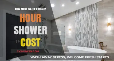 Shower Costs Revealed: Calculating the Expense of a 2-Hour Shower