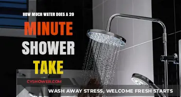 Shower Water Usage: Uncovering the 20-Minute Shower's Hidden Cost