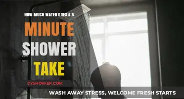 Shower Water Usage: Uncovering the 5-Minute Shower's Hidden Consumption