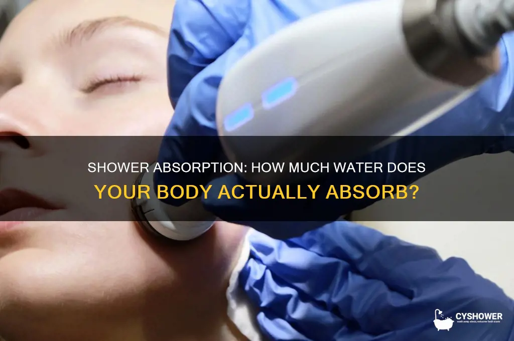 how much water does a body absorb during a shower