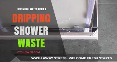 Dripping Shower Waste: How Much Water Are You Losing?