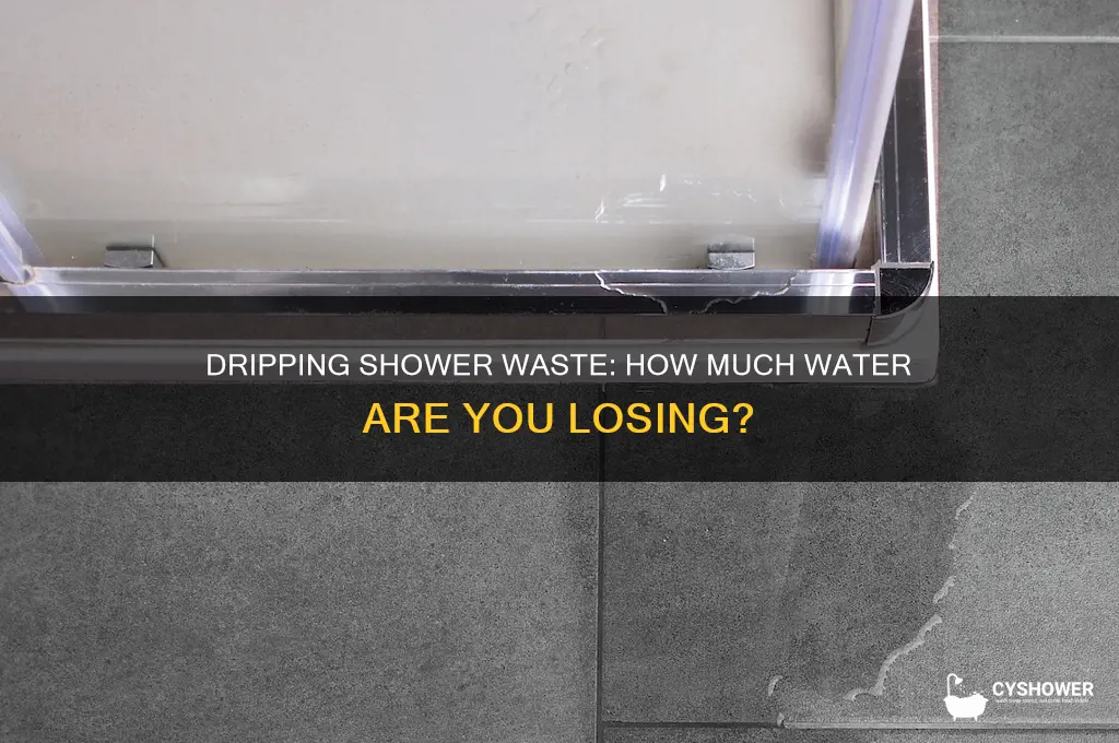 how much water does a dripping shower waste