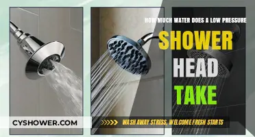 Low Pressure Shower Heads: Water Usage and Efficiency Explained