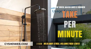 Shower Water Usage: Understanding Your Per-Minute Consumption
