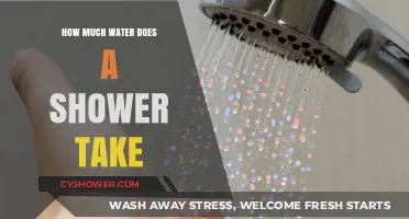 Shower Water Usage: How Much Does Your Daily Rinse Consume?