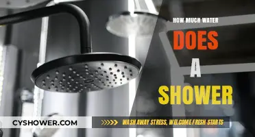 Shower Water Usage: How Much Does Your Daily Shower Consume?