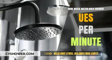 Shower Water Usage: How Much Water Does Your Shower Consume Per Minute?
