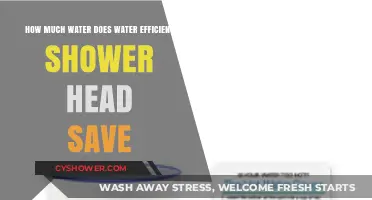 Save Water Effortlessly: Discover Shower Head Efficiency Savings