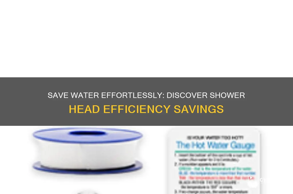 how much water does water efficient shower head save