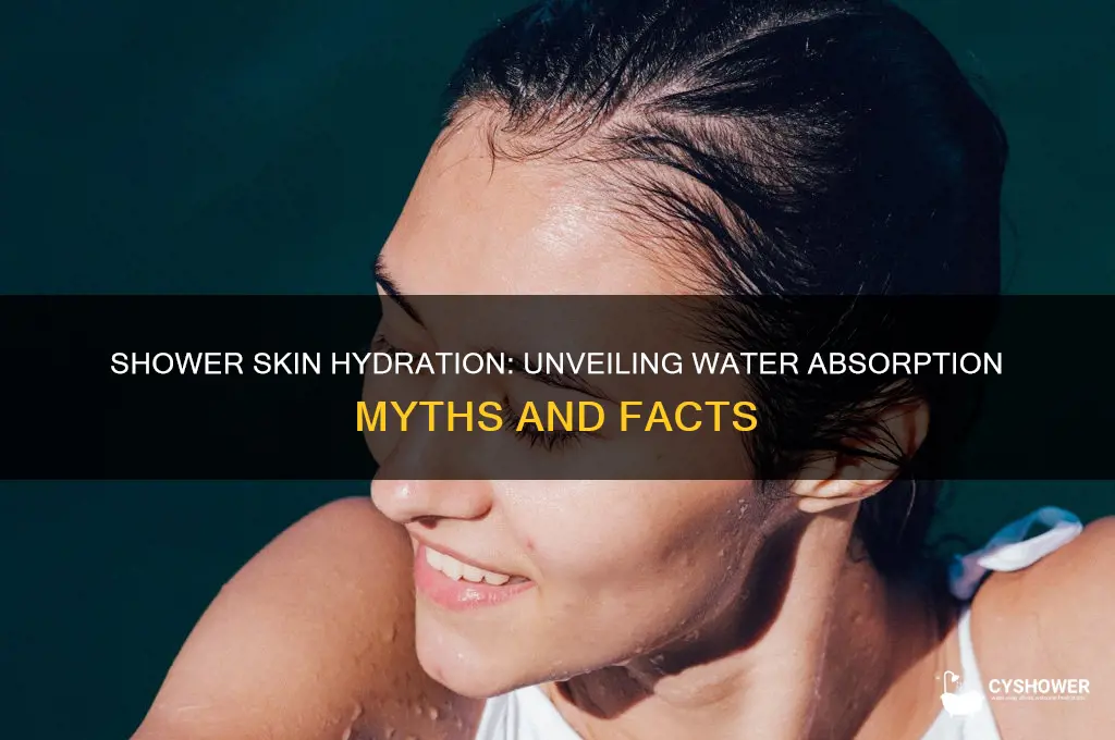 how much water does your skin absorb during a shower